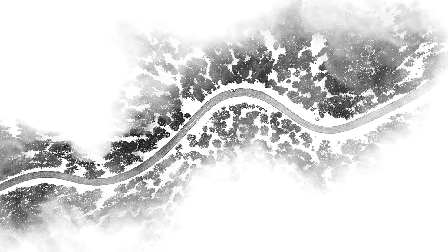 Le Flow: quand on est immergé dans une activité